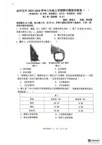 福建省泉州市第五中学2025-2026学年八年级历史上学期期中模拟试卷
