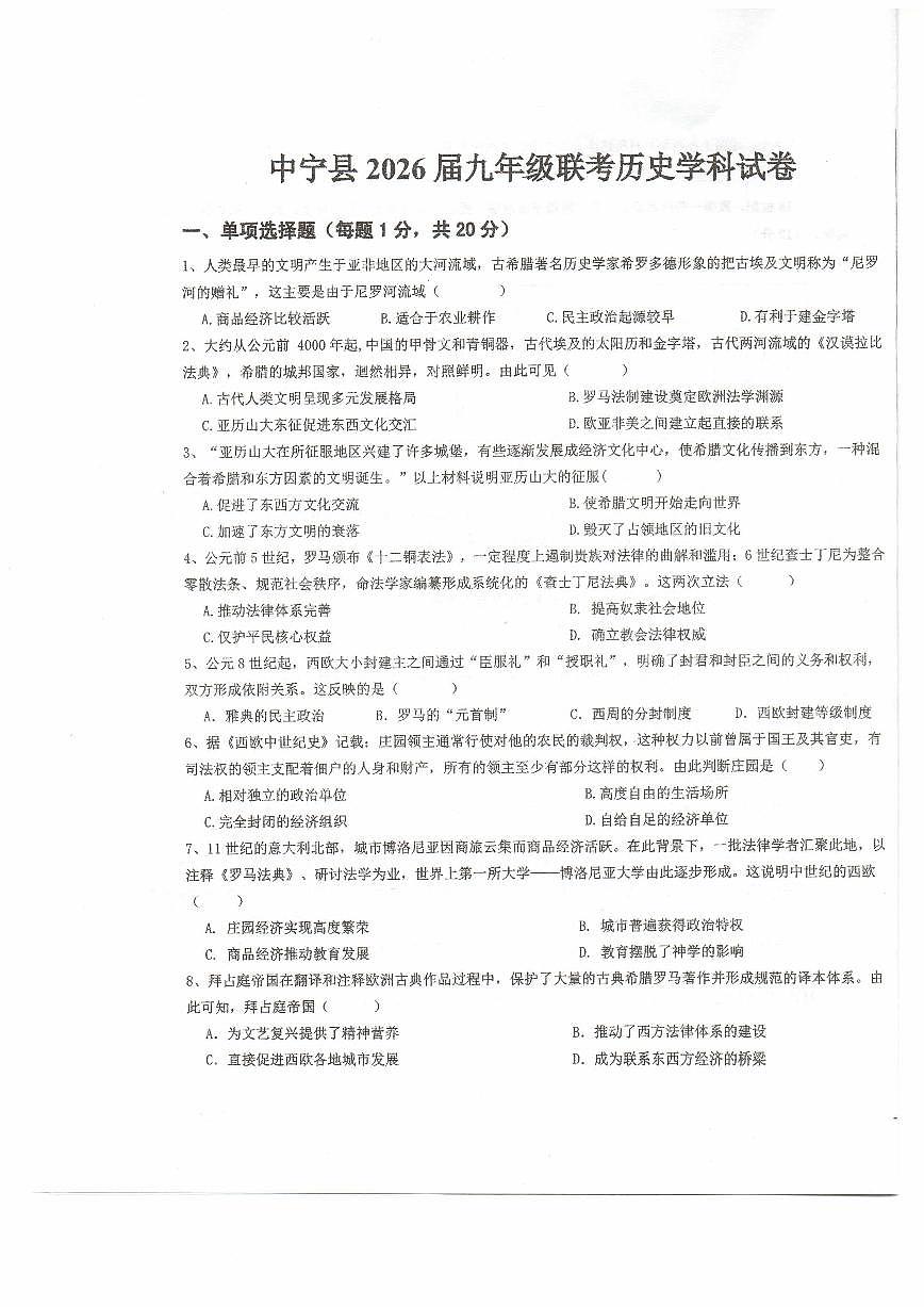 宁夏回族自治区中卫市中宁县2025-2026学年九年级上学期11月期中历史试题第1页