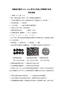 河南省济源市2025~2026学年七年级上学期期中考试 历史试卷（学生版）