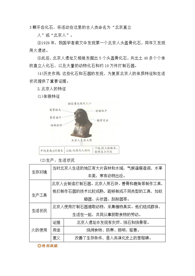 专题01  远古时期的人类活动（解析版）第2页
