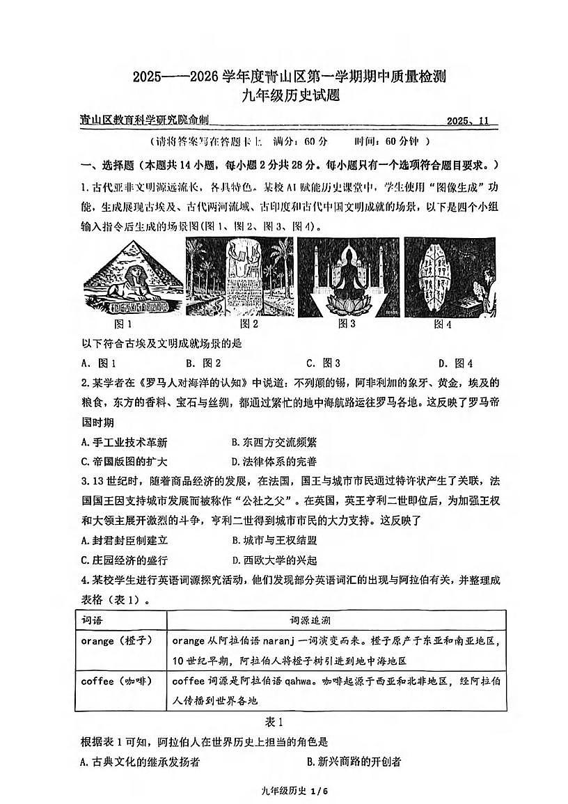 湖北省武汉市青山区2025-2026学年九年级上学期历史11月期中试卷第1页