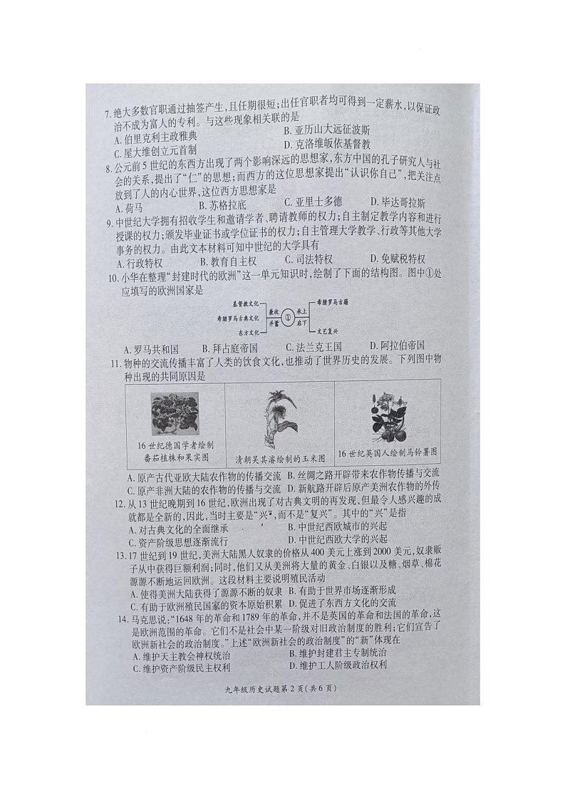 江苏省徐州市铜山区2025--2026学年部编版九年级历史上学期期中考试卷第2页
