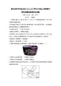 贵州省毕节市金沙县2024-2025学年七年级上学期期中教学质量监测卷历史试题（学生版）