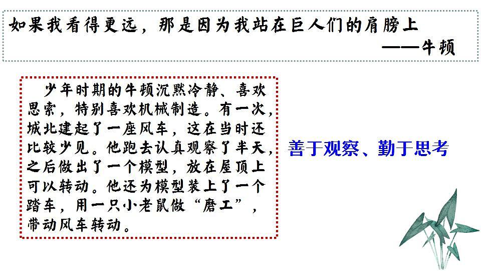 17826556第4页