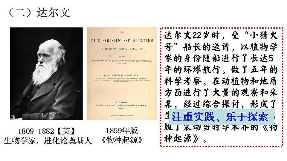 17826556第7页
