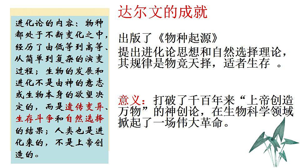 17826556第8页
