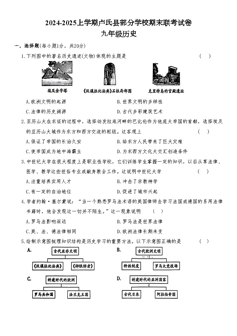 2024-2025上学期河南省卢氏县部分学校期末联考九年级历史试卷（含答案）第1页