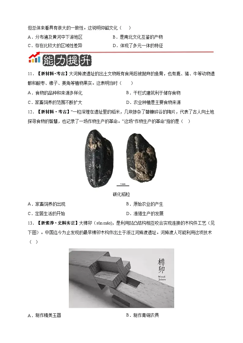 第2课 原始农业与史前社会【分层练习】-2025-2026学年7年级上册《历史》统编版第3页