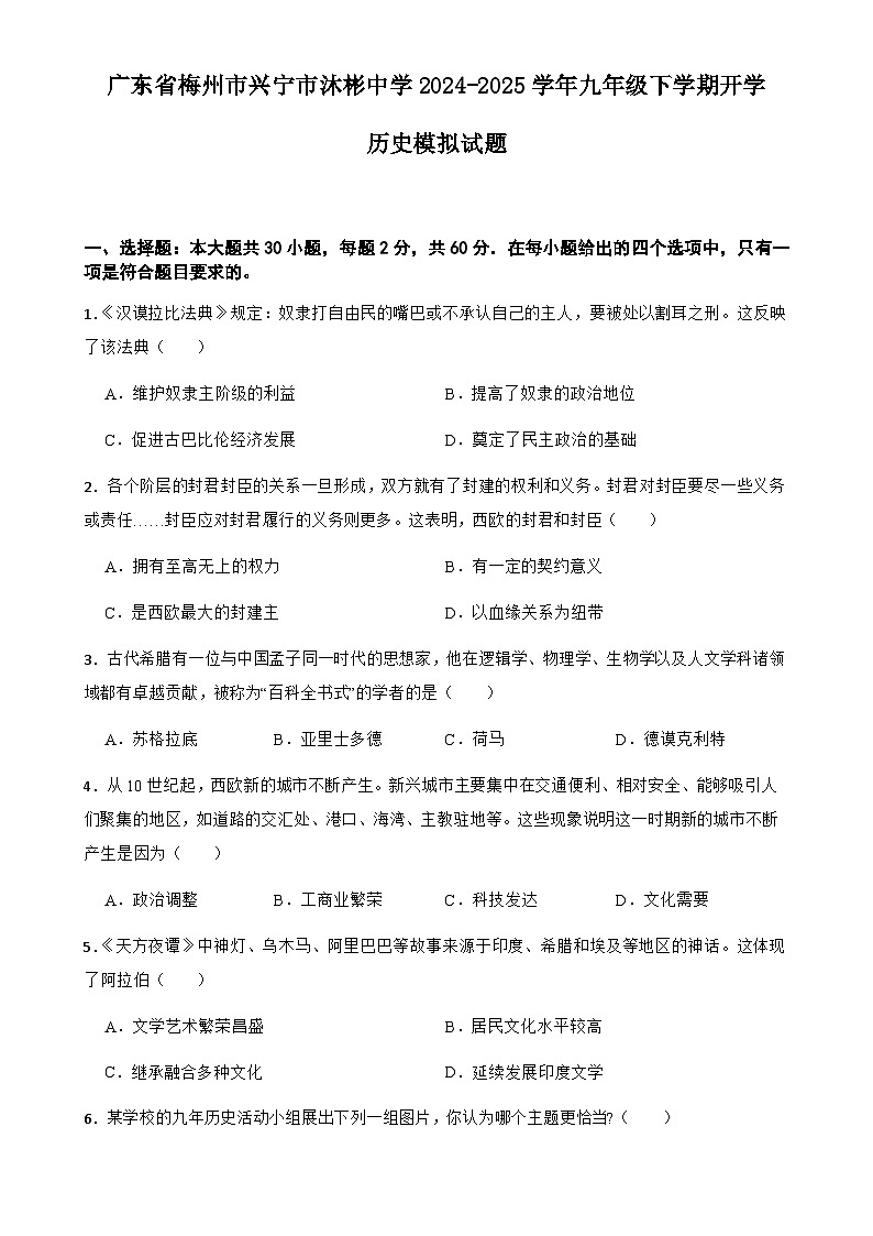 广东省梅州市兴宁市沐彬中学九年级下学期开学历史模拟试题-A4第1页