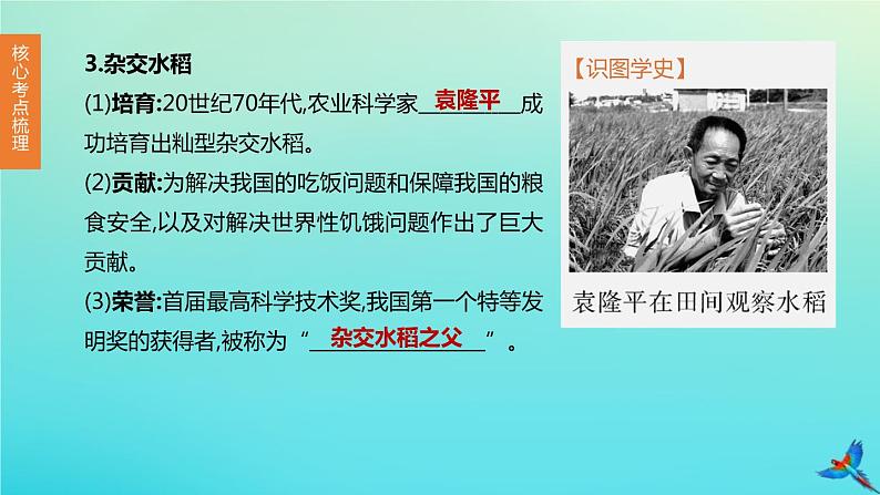 全国版2020中考历史复习方案第三部分中国现代史第17课时科技文化与社会生活课件06