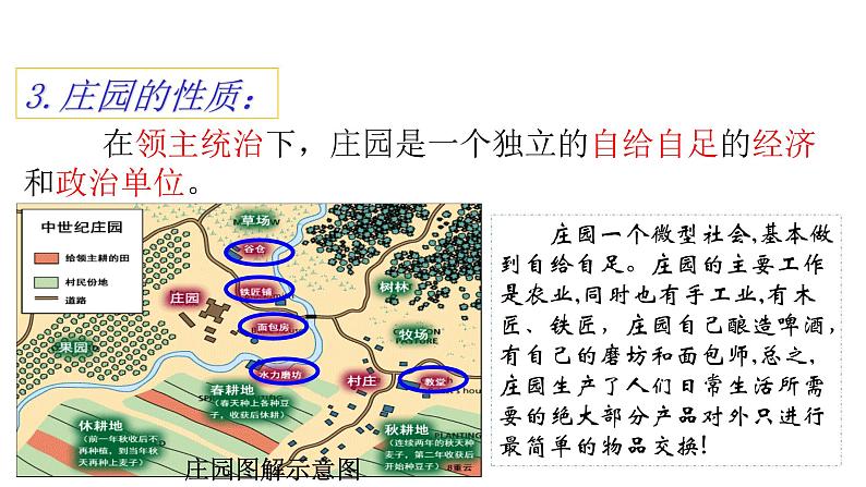 人教部编版九年级历史上册第8课    西欧庄园 课件07