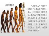 人教部编版七年级历史上册第1课 中国早期人类的代(29张PPT)