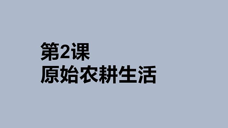 人教部编版七年级历史上册第2课原始农耕生活(34张PPT)02