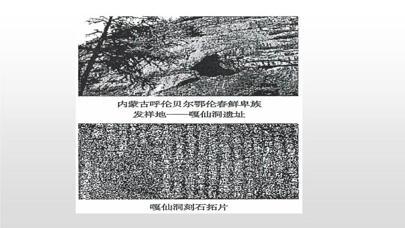 人教部编版七年级历史上册第19课北魏政治和北方民族大交融29张PPT07