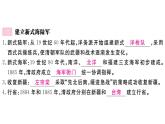 第4课 洋务运动 课件