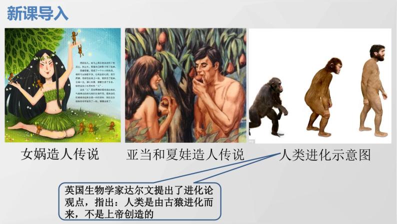 第1课 中国境内早期人类的代表——北京人 PPT课件(含素材）02