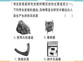 七年级上册期末历史复习 专题二  中国古代的经济发展与民族关系 练习课件
