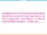 八年级上册历史期末复习 第五、六单元检测卷