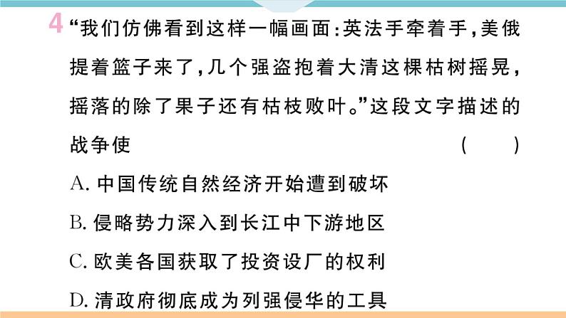 八年级上册期末历史复习 专题一 中国近代史上的侵略与反抗 练习课件第5页