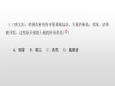 第13课 西欧经济和社会的发展 练习课件