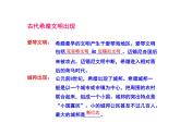 人教版九年级上册历史课件第4课  希腊城邦和亚历山大帝国