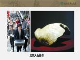 第1课 中国境内早期人类的代表--北京人 课件