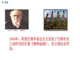 人教部编版七年级历史上册第一单元 第1课《中国早期人类的代表——北京人》 62张PPT课件