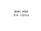 人教部编版历史九年级上册第14课  文艺复兴运动（24张PPT)课件