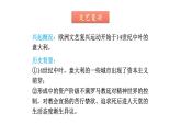 人教部编版历史九年级上册第14课  文艺复兴运动（24张PPT)课件
