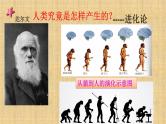 001第一课 中国早期人类的代表—北京人 课件