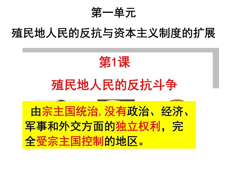 人教部编版九年级历史下册第1课殖民地人民的反抗斗争课件（20张）第1页