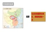 2020-2021学年部编版七年级历史下册第7课 辽，西夏与北宋的并立课件 (21张)