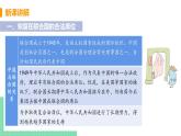 人教版八年级历史下册 第17课 外交事业的发展（PPT课件+教案）