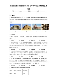 山东省滨州市滨城区2020-2021学年九年级上学期期中历史试题（word版 含答案）