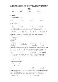 江苏省淮安市洪泽区2020-2021学年九年级下学期期中数学试题（word版 含答案）