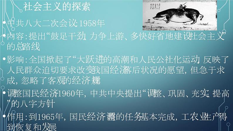 中考历史复习 社会主义的探索 课件07