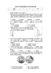 2020年山东省临沂市中考历史试卷