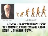 第1课  中国境内早期人类的代表——北京人-2021—2022学年七年级上册历史  同步课件（部编版）