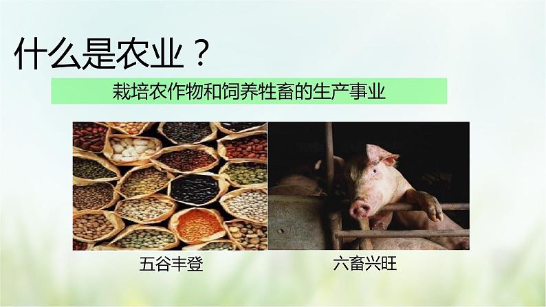 第2课  原始农耕生活-2021—2022学年七年级上册历史  同步课件（部编版）03