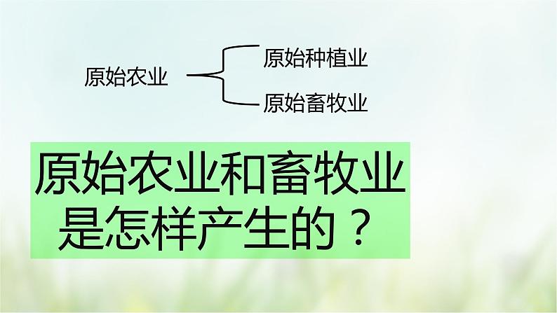 第2课  原始农耕生活-2021—2022学年七年级上册历史  同步课件（部编版）04