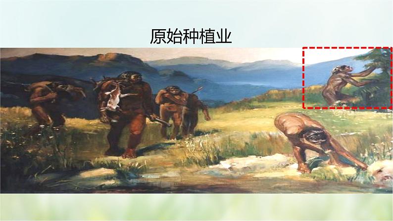 第2课  原始农耕生活-2021—2022学年七年级上册历史  同步课件（部编版）05