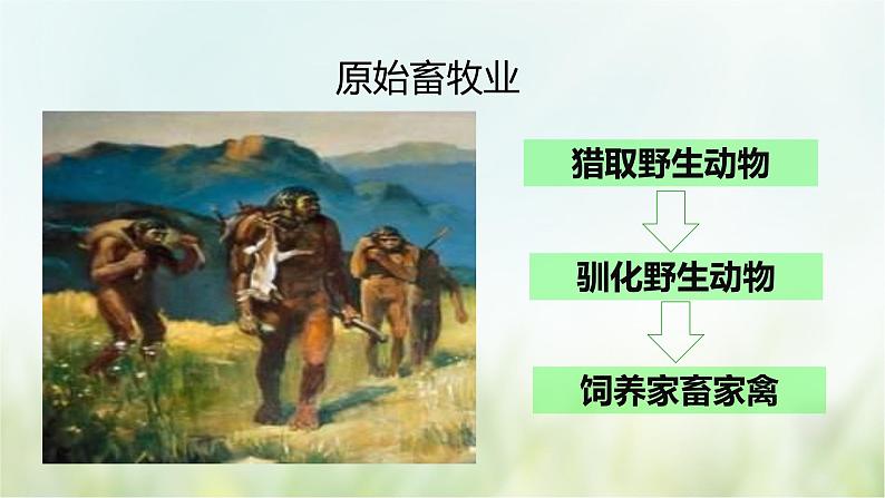 第2课  原始农耕生活-2021—2022学年七年级上册历史  同步课件（部编版）08