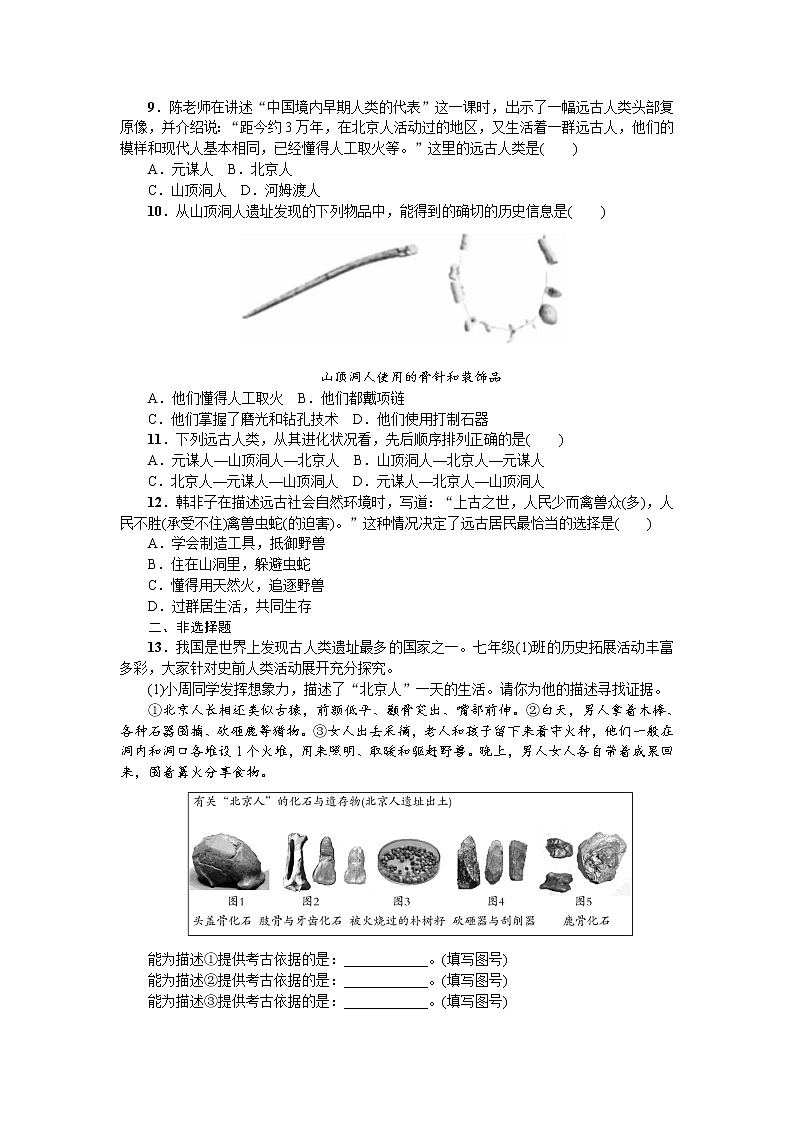 人教部编版（五四制）初中历史第一册第1课《中国境内早期人类的代表——北京人》同步练习5（含答案）02