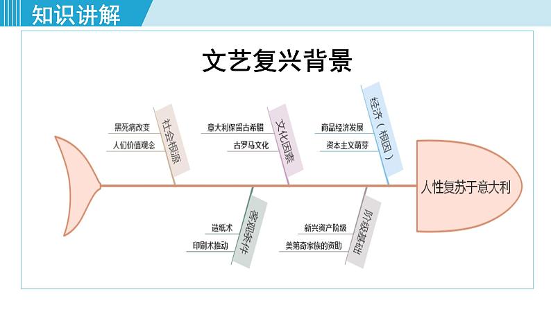 人教版九年级历史上册 第五单元 走向近代 第14课 文艺复兴运动 课件PPT05