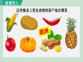 人教版九年級歷史上冊 第五單元 走向近代 第15課 探尋新航路 課件PPT