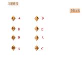 人教版九年级上册历史课件 专项训练 专项一　选择题题型专项