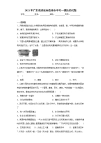 2021年广东省清远市连州市中考一模历史试题(word版含答案）