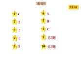 人教版九年级上册历史课件 期末专题复习 专题一　工业革命前资本主义的兴起和发展