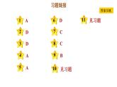 人教版九年级上册历史课件 期末专题复习 专题四　早期的资本主义民主与法治建设