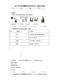 2021年山东省聊城市东阿县中考三模历史试题（word版 含答案）